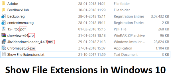 How to Show File Extensions in Windows 10 – TechCult