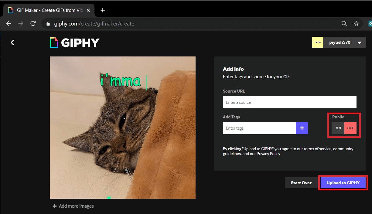 3 Ways to Create a GIF on Windows 10 – TechCult