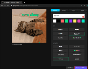 3 Ways to Create a GIF on Windows 10 – TechCult