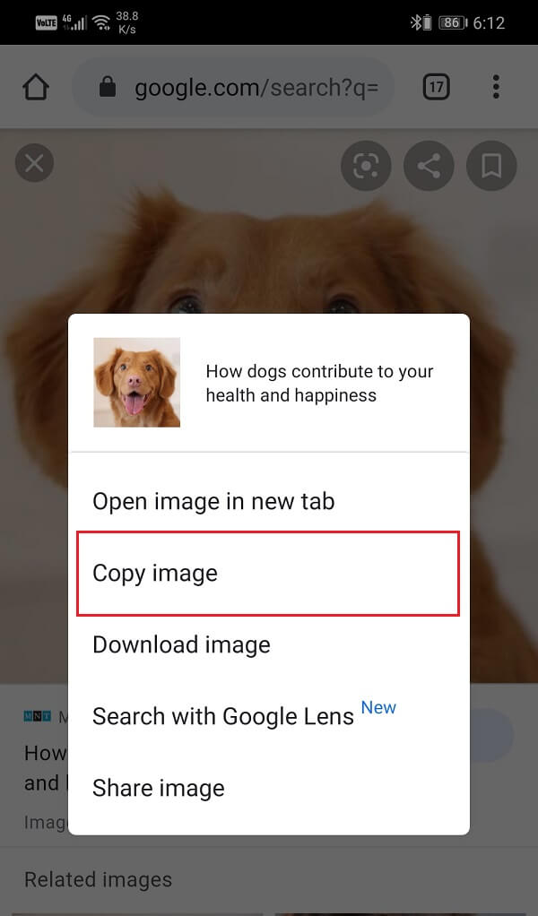 Select the Copy image option