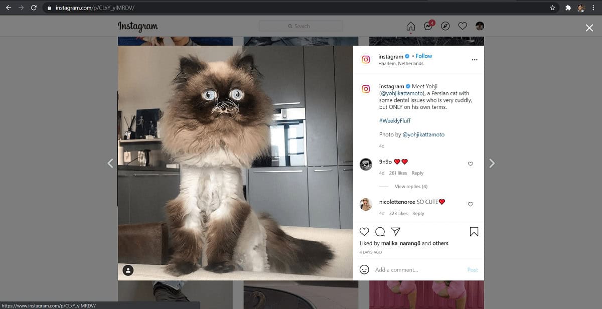 Select the image you want to view in high resolution.