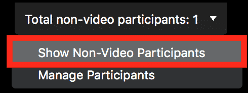 click on the “Show Non-Video Participants.”