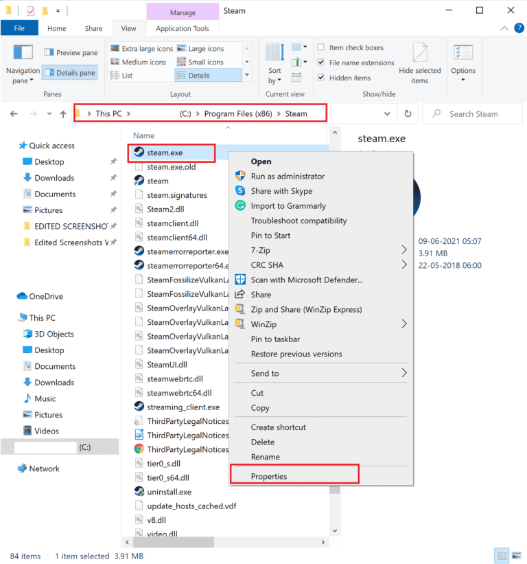 How to Fix Steam Not Opening on Windows 10 – TechCult