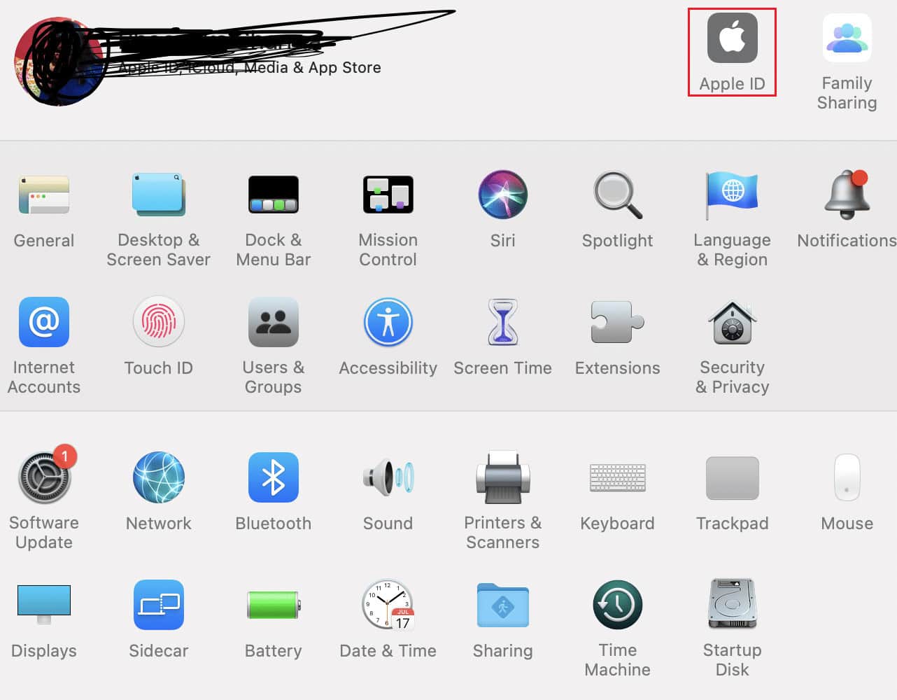 Click on Apple ID on the right-hand side of the window | macOS Big Sur Problems