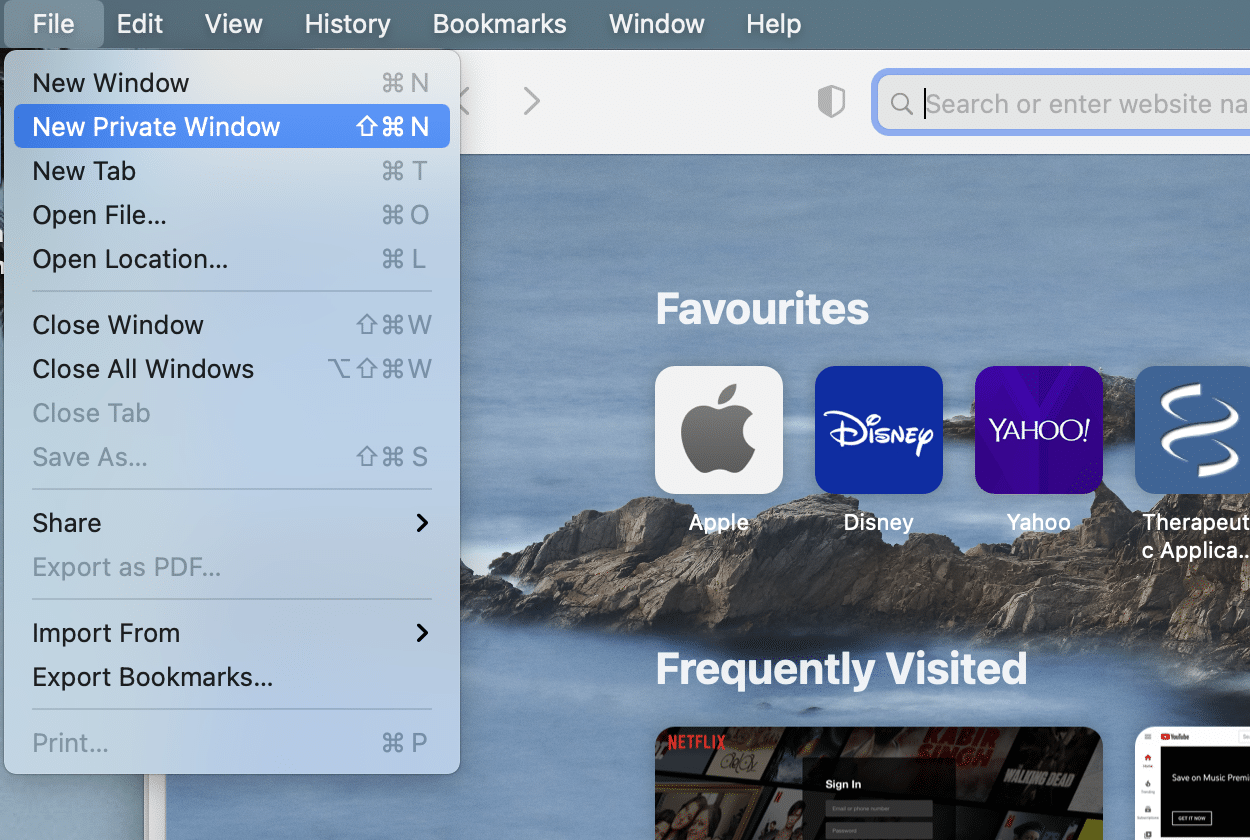 safari can't open private window