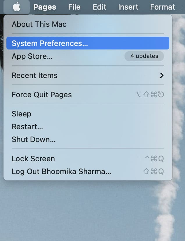 Click on the Apple menu and select System Preferences.