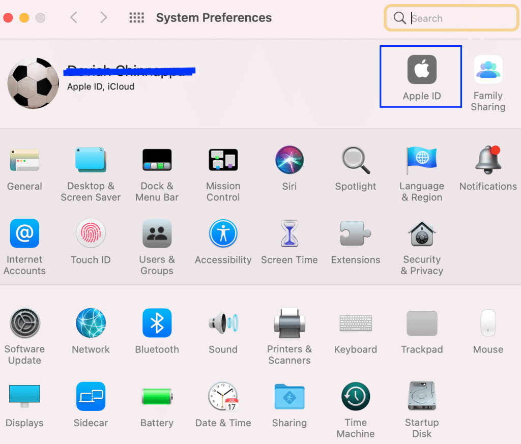 How To Access Your Apple Account TechCult