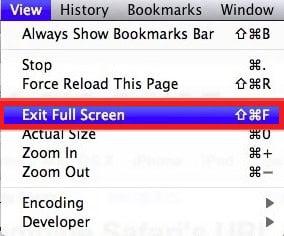 exit full screen on Mac Google Chrome