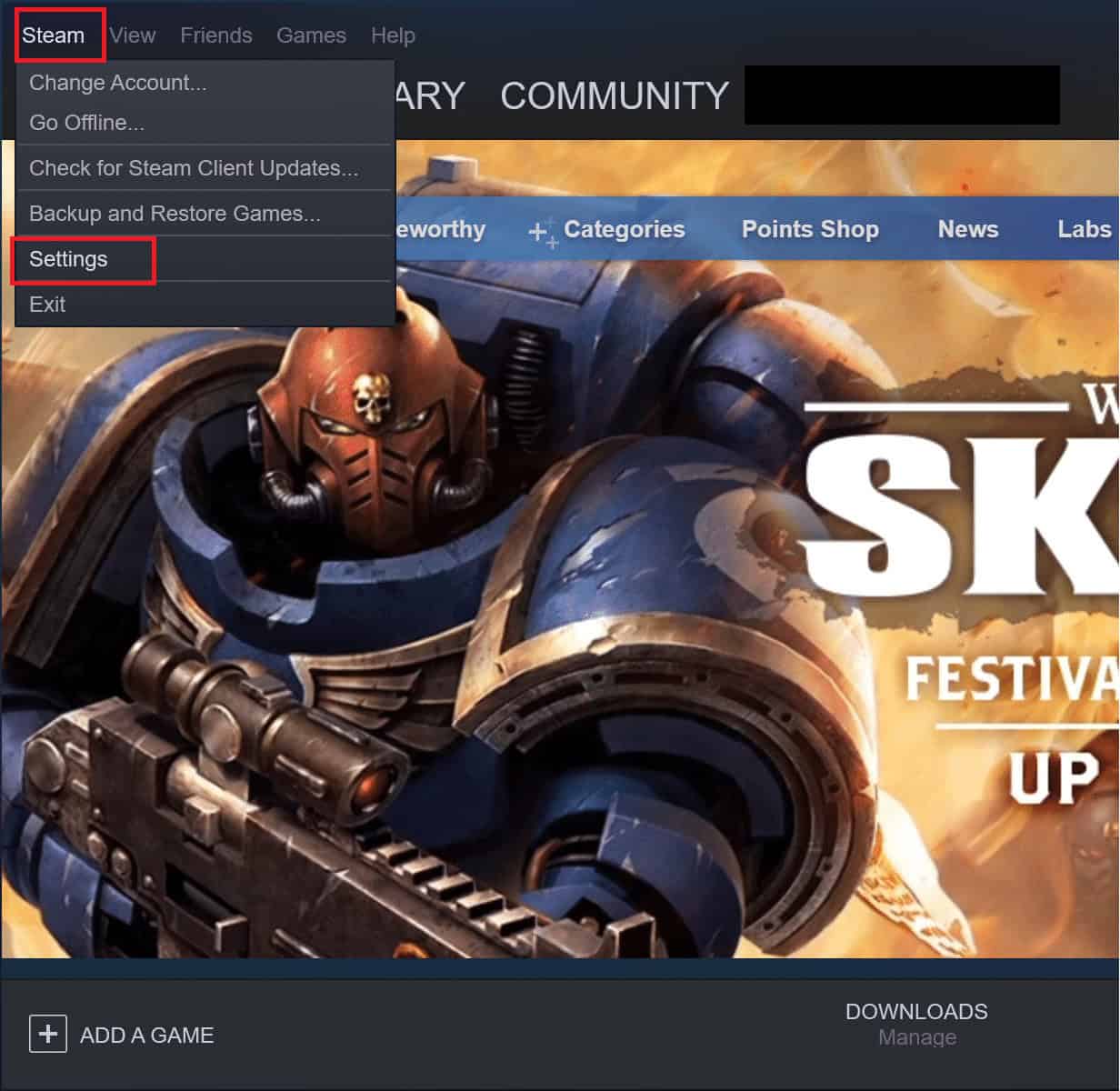 From the top left corner of the window, go to Steam then Settings