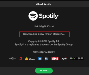 Fix Spotify Error Code 17 on Windows 10 – TechCult