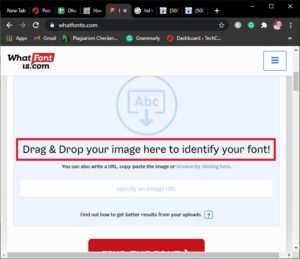 How to Identify a Font from an Image – TechCult