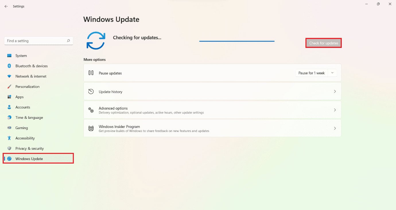 Windows update section in the Settings window