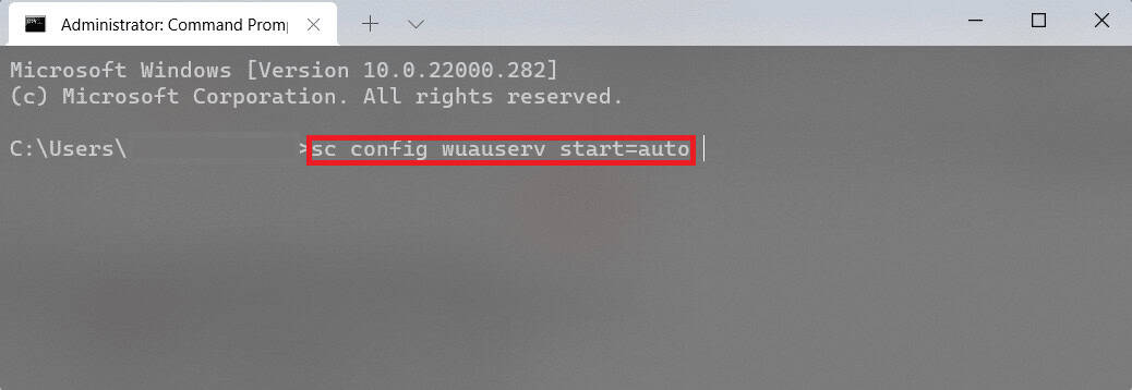 type wuauserv autostart command in Command prompt