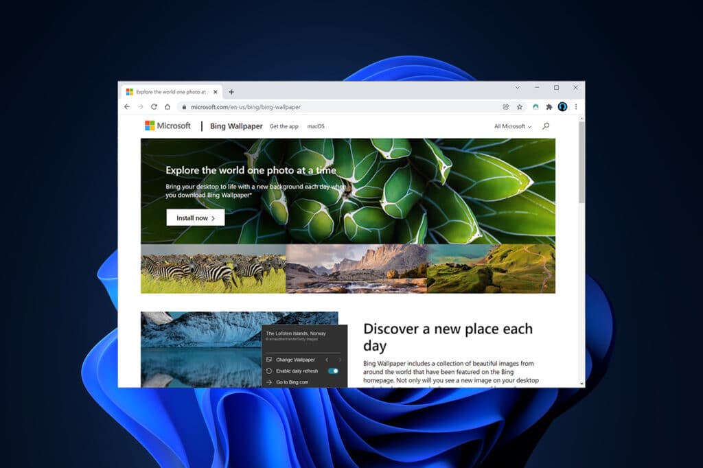 How to Download and Install Bing Wallpaper for Windows 11