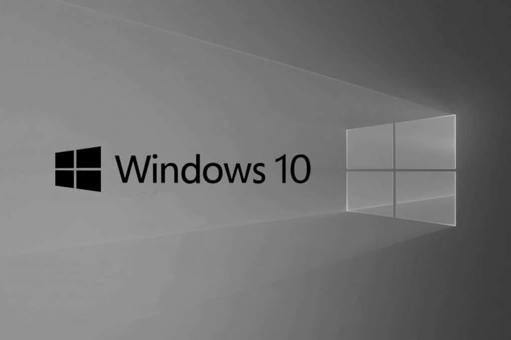 How to Turn Your Screen Black and White on PC
