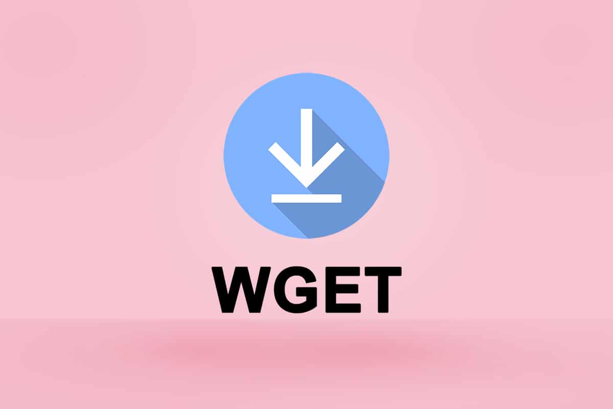 How to Download  Install  and Use WGET for Windows 10 - 35