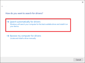 How to Update Network Adapter Drivers on Windows 10 – TechCult