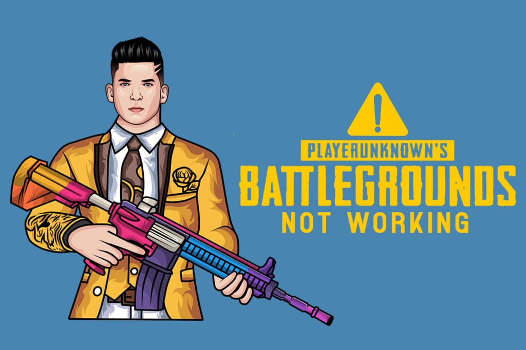Fix PUBG Not Working on Windows 10