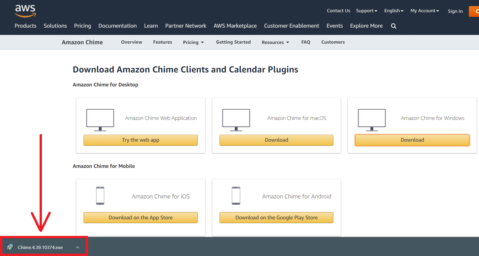 Fare clic sul file di installazione scaricato per installare ed eseguire l'applicazione, come mostrato di seguito