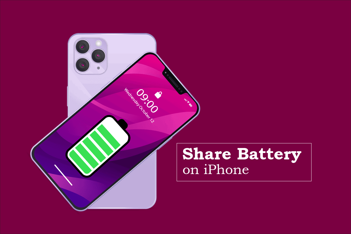 can you share battery on iphone 12 pro max