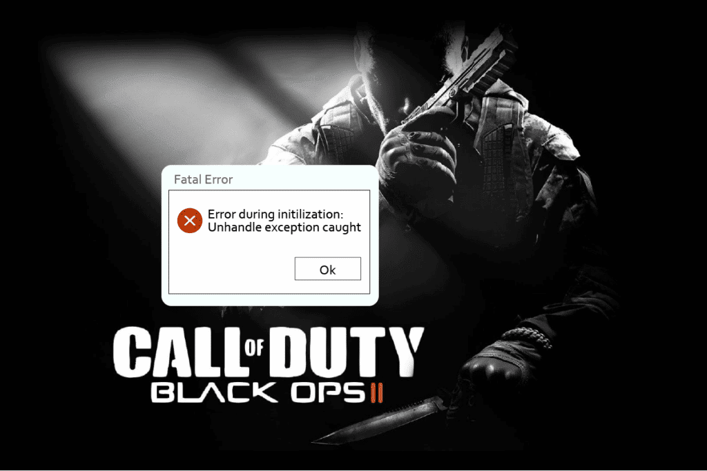 Fix CoD Black Ops 2 Unhandled Exception Caught in Windows 10