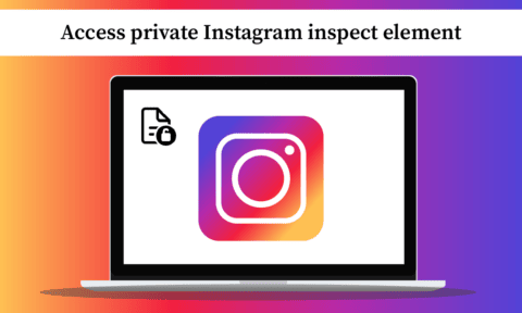 How to Access Private Instagram Inspect Element - TechCult