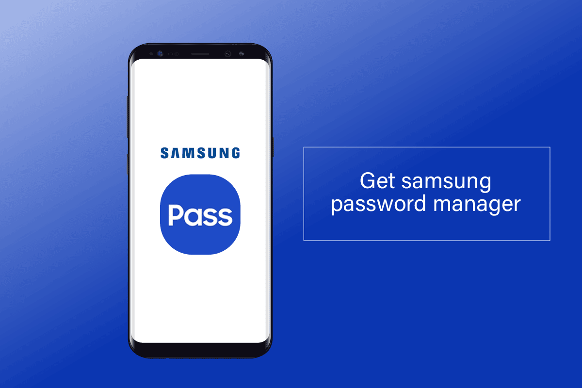 How To Get Samsung Password Manager TechCult