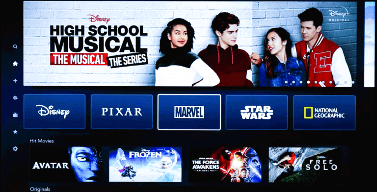 How to Change Language on Disney Plus Roku TV – TechCult