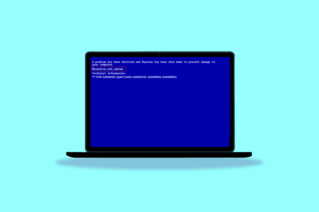 Fix Resource Not Owned Error in Windows 10 revised
