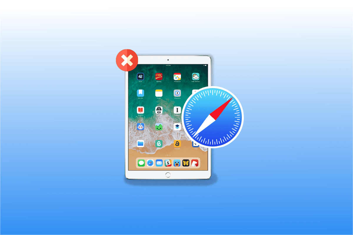 safari icon disappeared in ipad