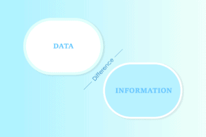 What is the Difference Between Data and Information Examples? – TechCult