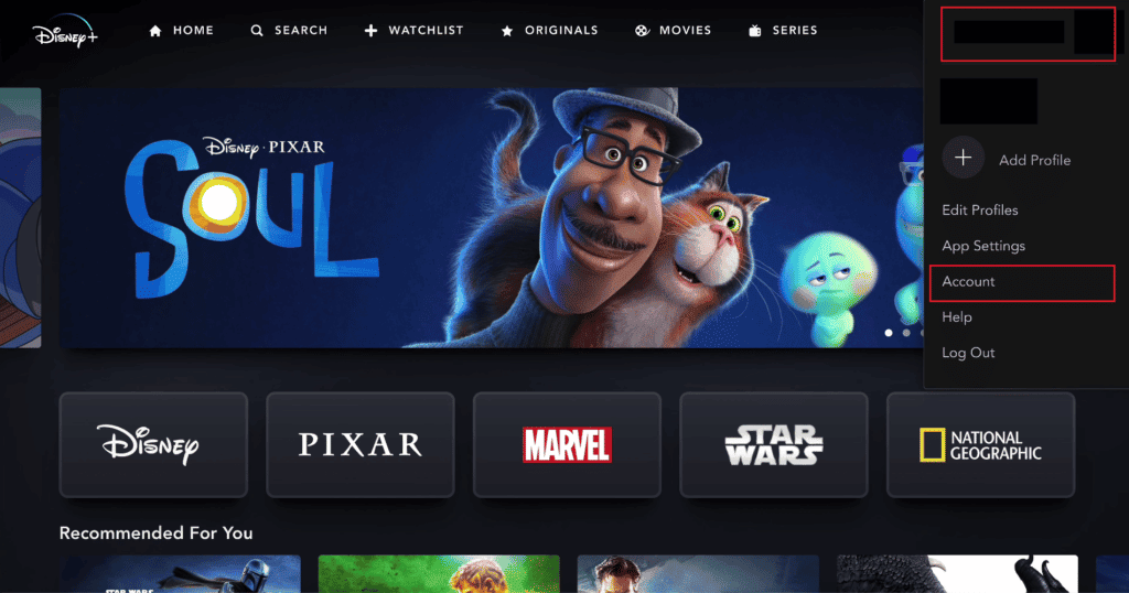How to Update Disney Plus Account – TechCult - How Do I Upgrade My Disney Plus To The Bundle