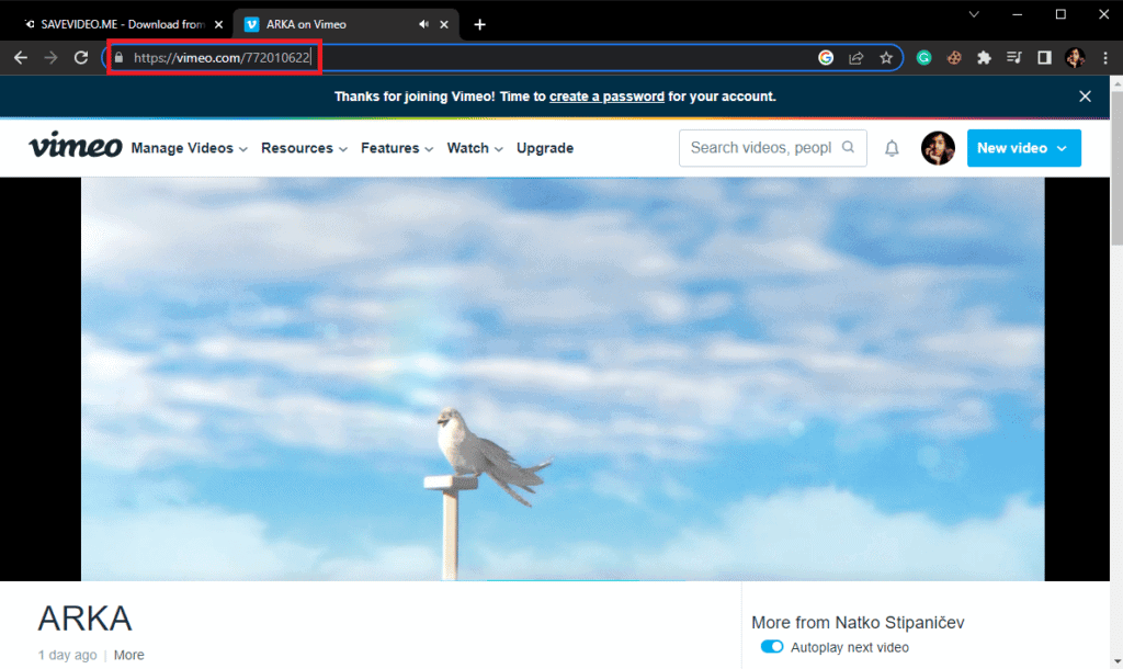 8 Best Vimeo to MP4 Converter Tools – TechCult