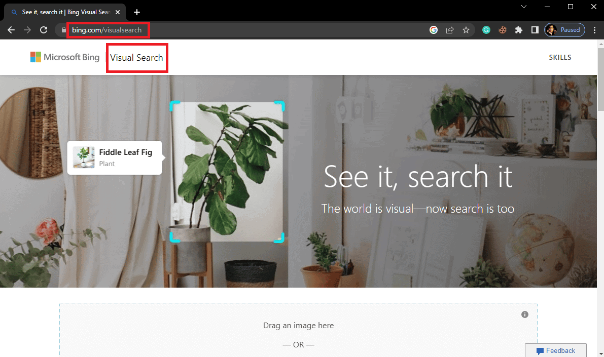 How To Run Reverse Scammer Image Search TechCult