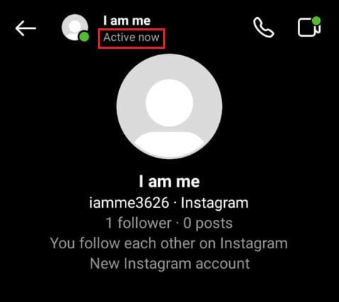 Locate the status under the IG username in the chat window to see their IG activity | How to See Someone’s Activity on Instagram