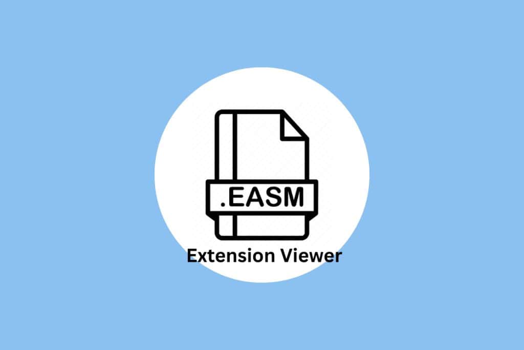 What is EASM Extension Viewer