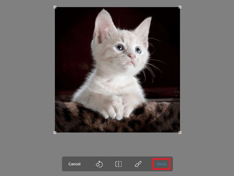 click Done to set your new profile picture 