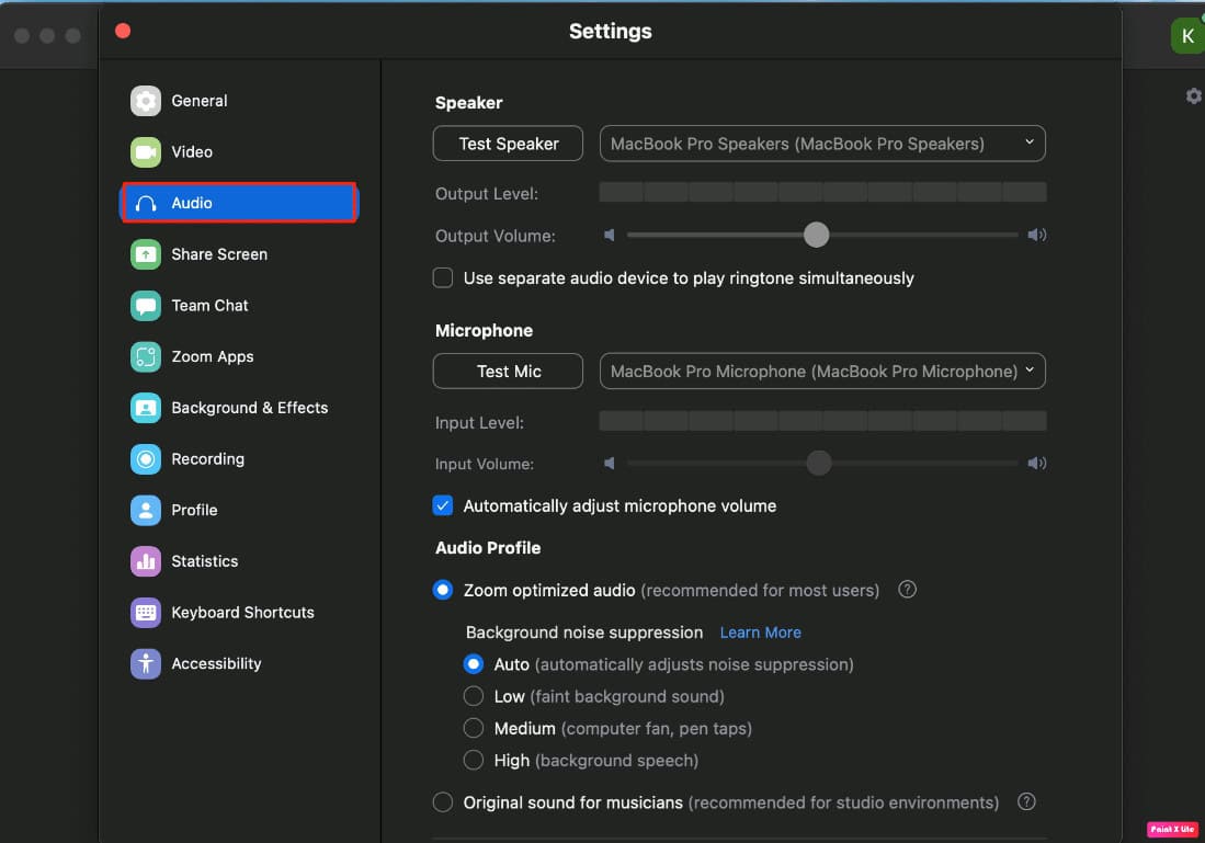 click on audio option