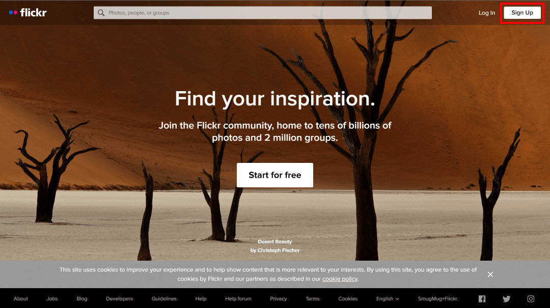 Click on the Sign Up button at the top right corner of the screen. | How to Log into Flickr with Yahoo Account