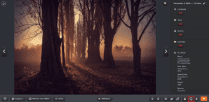 How to Delete Photos from Shutterfly – TechCult