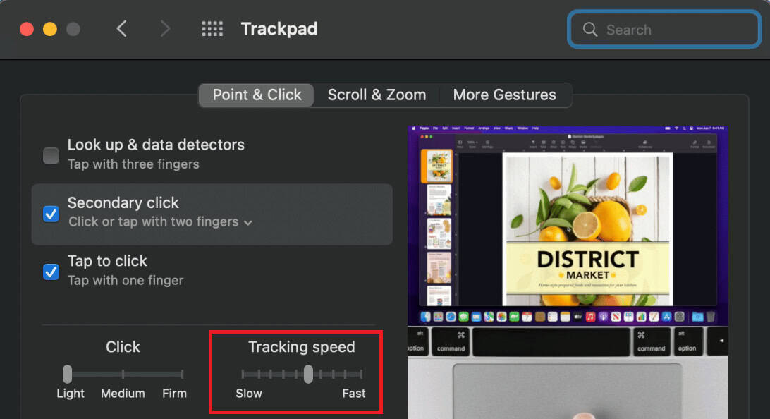drag the Tracking Speed slider