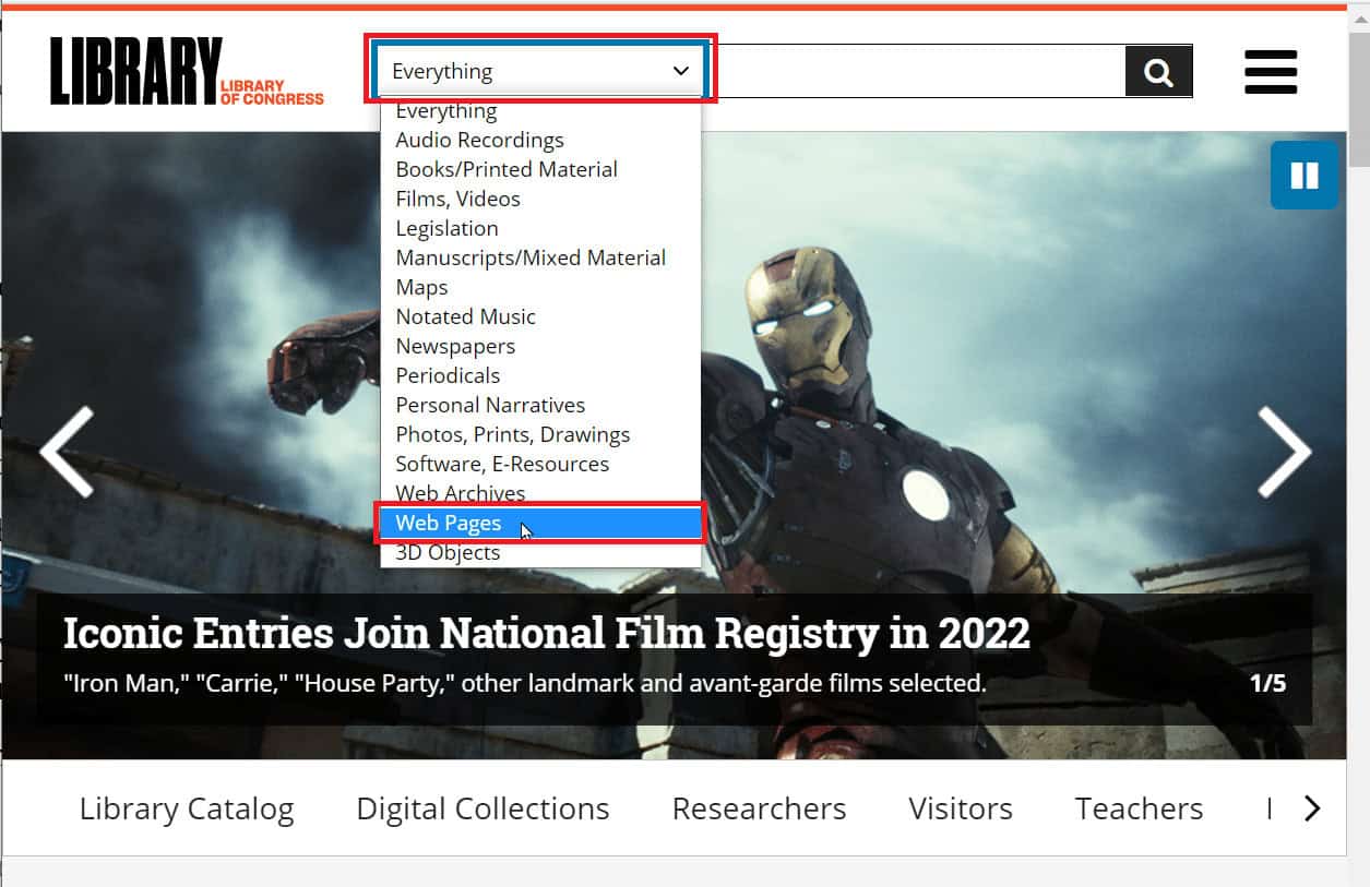 Enter the Everything drop-down box and select Web Pages