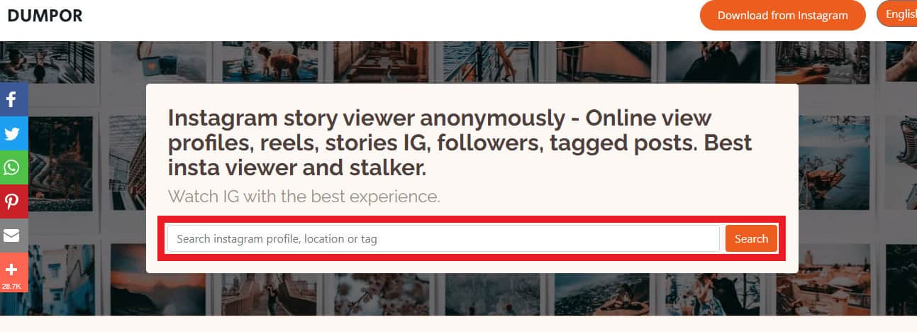 Enter the user id in search bar of Dumpor