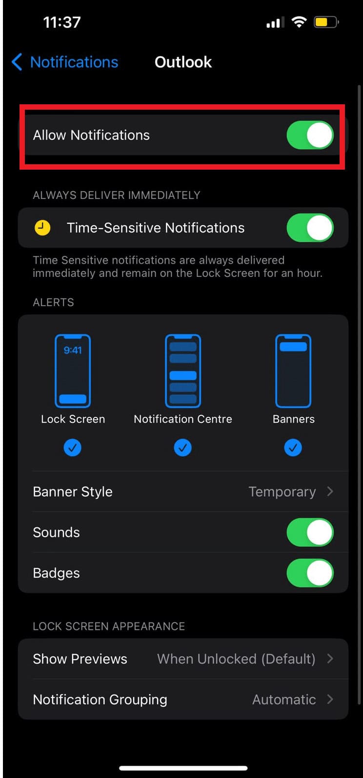 locate the Allow Notifications option and turn the toggle on or off.