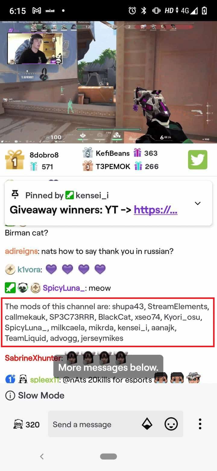 mods command. Twitch Chat Commands for Bots