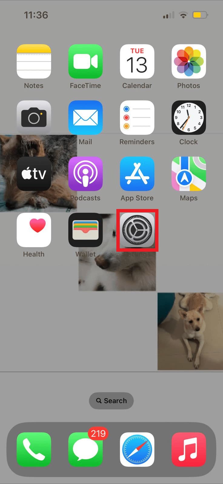 Open Settings from your iPhone menu