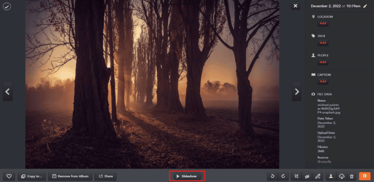How to Delete Photos from Shutterfly – TechCult