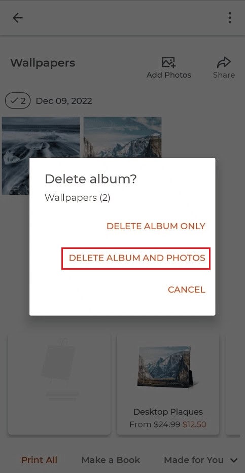 tap on DELETE ALBUM AND PHOTOS
