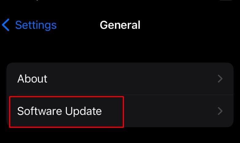 tap on software update