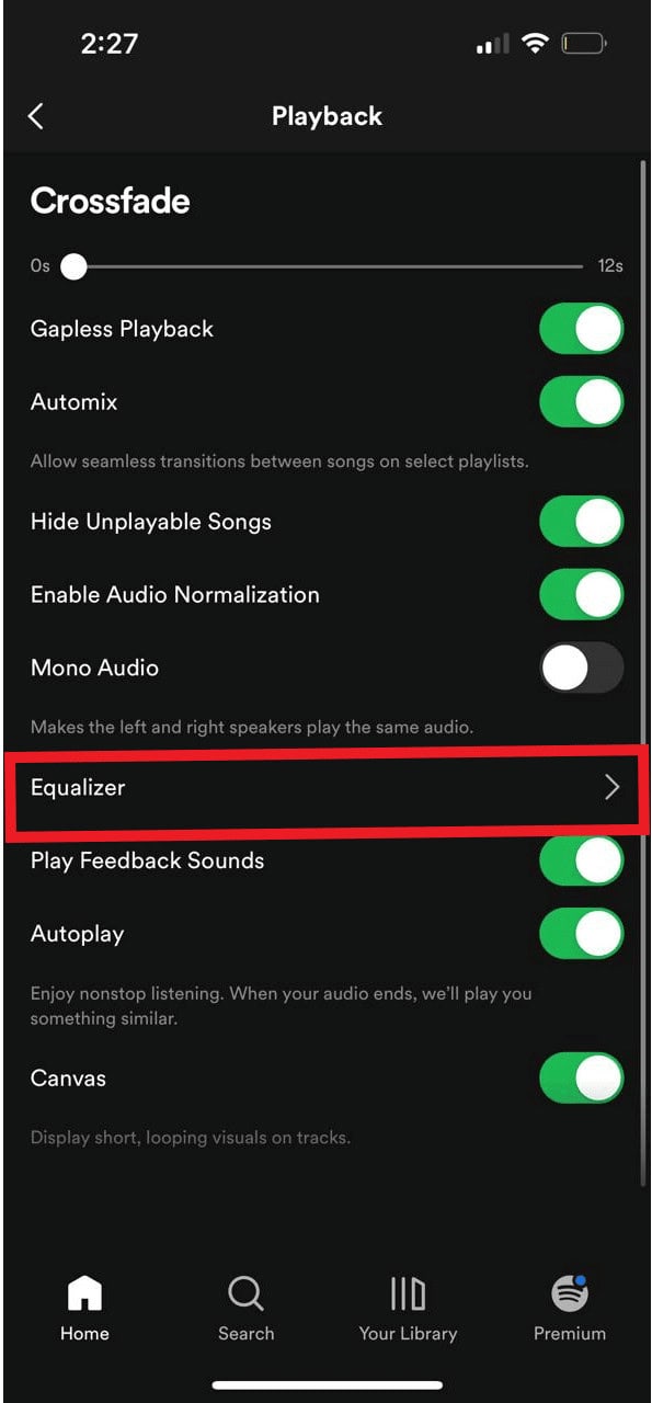Tap on the Equalizer option